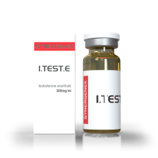 l.Test E 250
